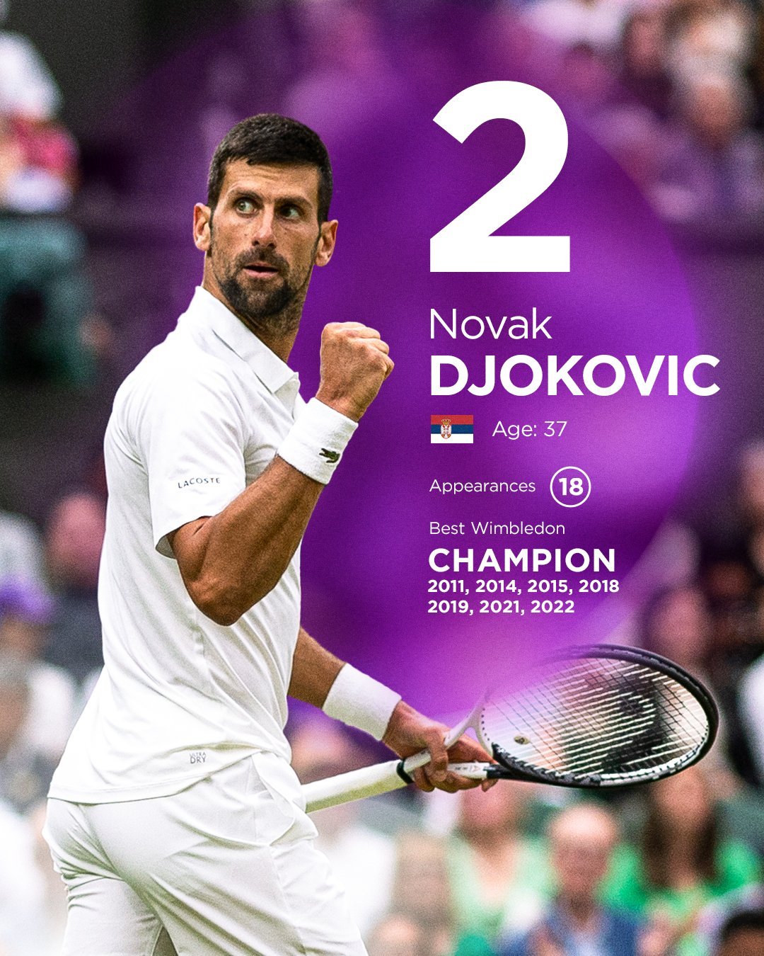 关于温网完胜戴维斯杯，兹维列夫状态火热的信息