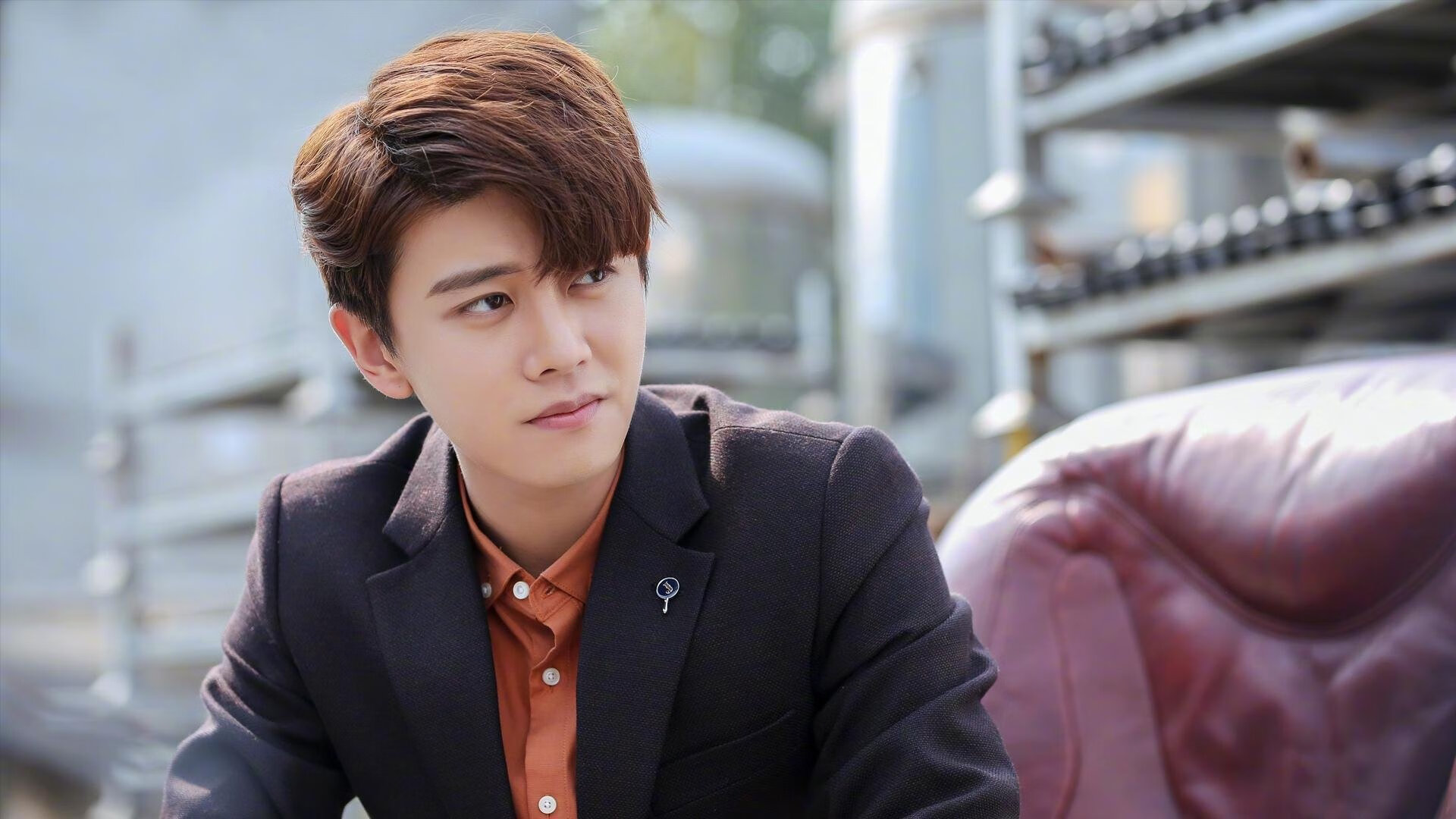 2026世界杯焦点战,辽宁队收割猛龙背后的全息战术板