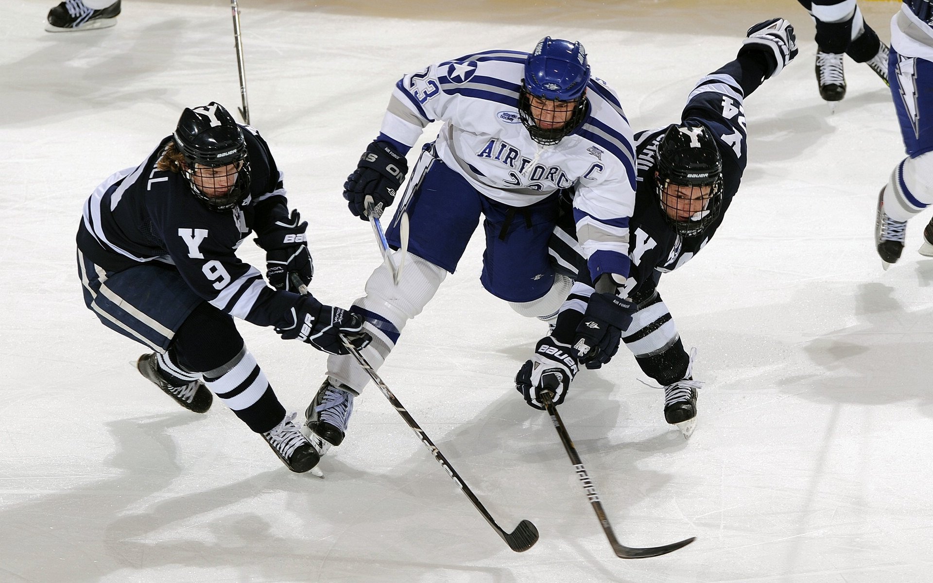 年度焦点之战之夜,锡安以野兽之姿扛起全队独舞