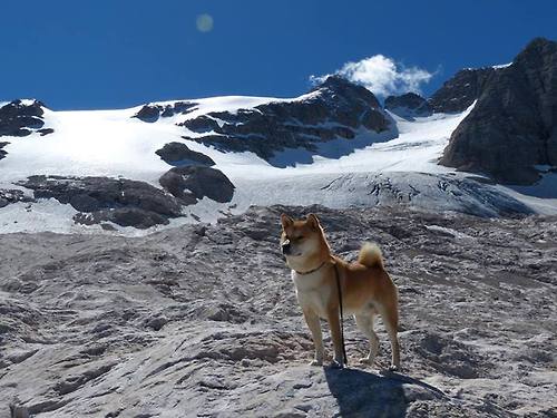 南美莱万觉醒！补时绝杀，秘鲁末节神奇带走洪都拉斯