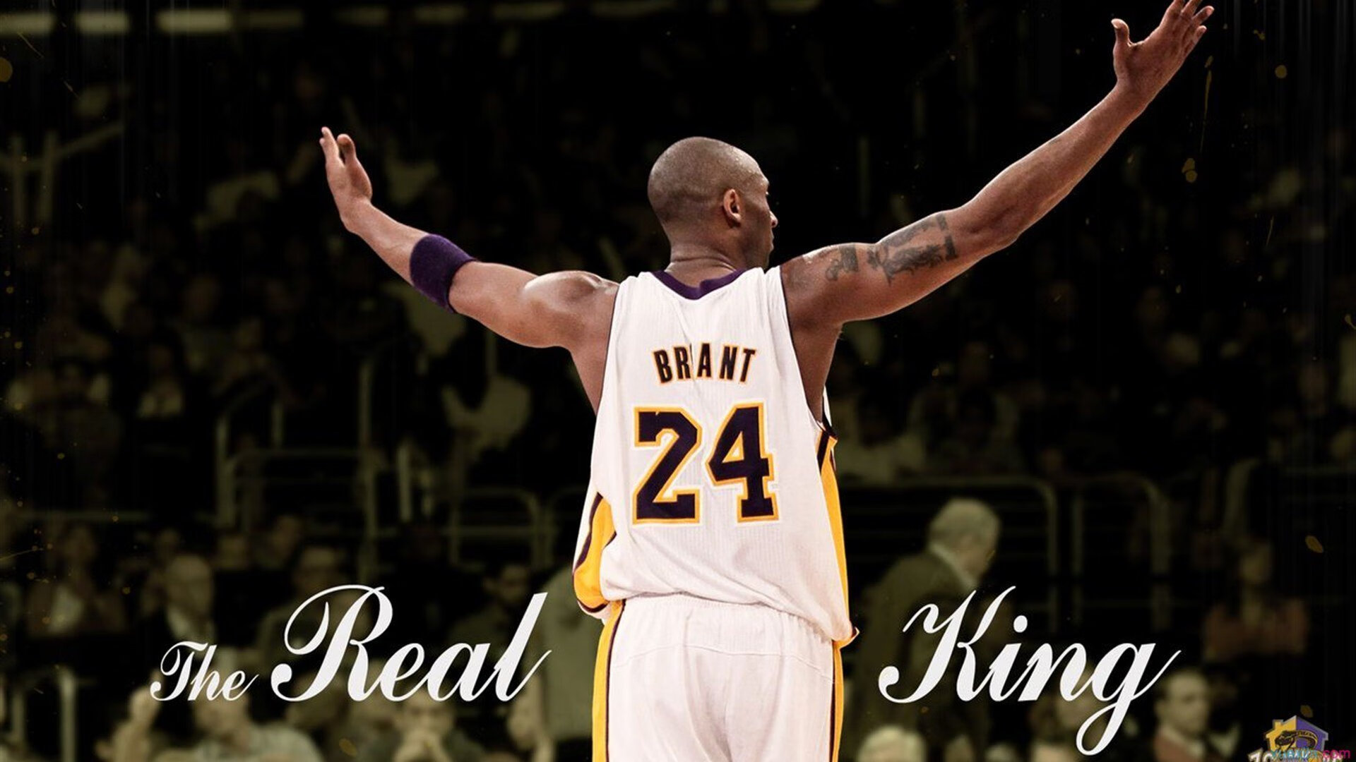 异次元直播间,当欧文遇上太极推手,活塞一掀惊天下