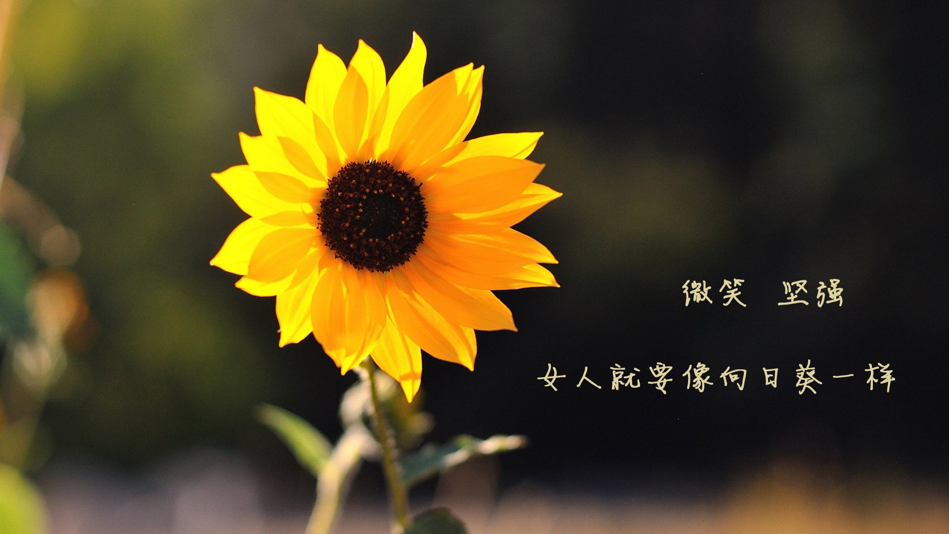 从隐形人到指挥官，拉亚如何用双手谱写了马赛的狂胜交响曲