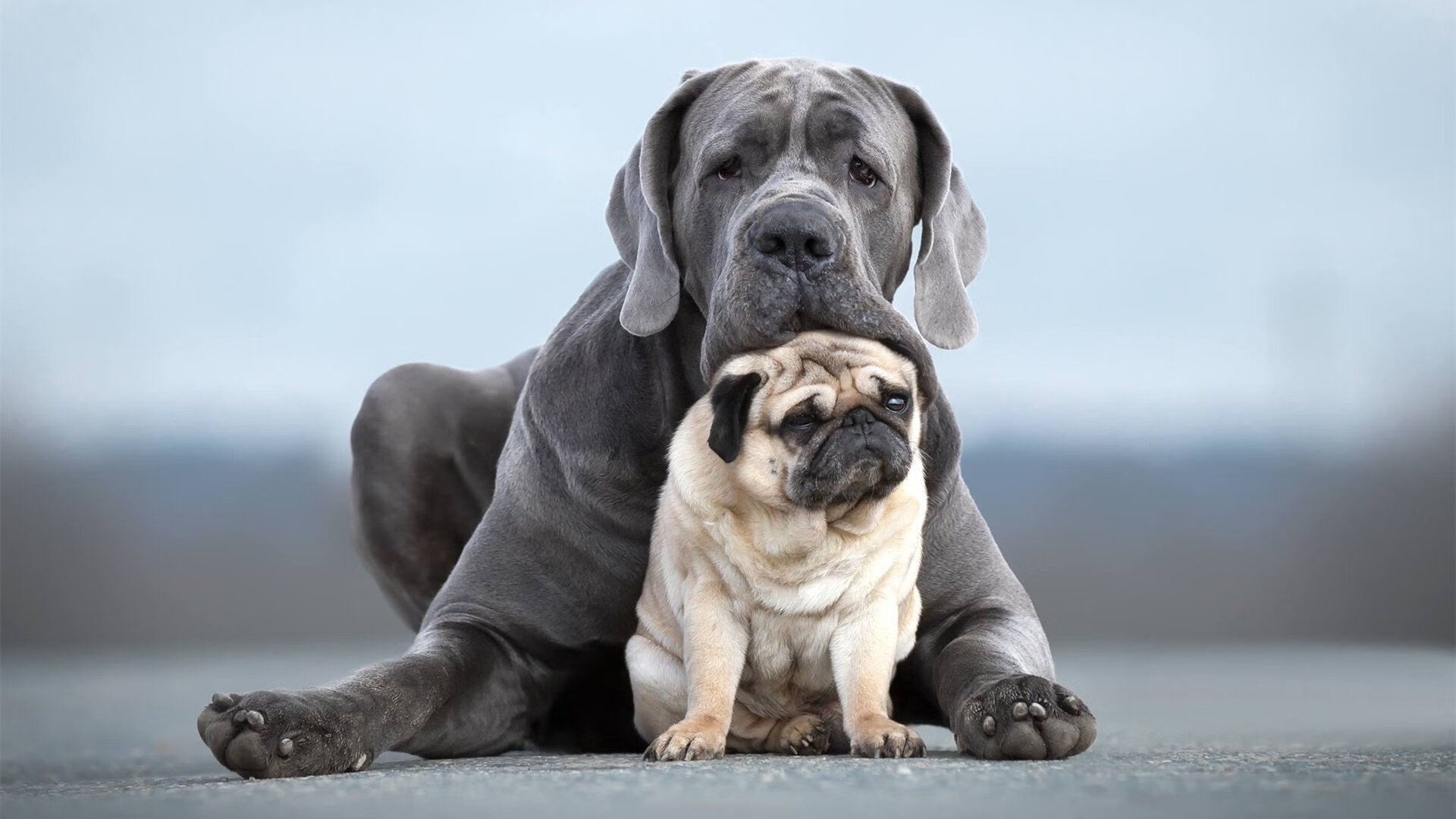 寂静的征服，当瑞士钟表匠在永恒之城拧紧最后一颗螺丝