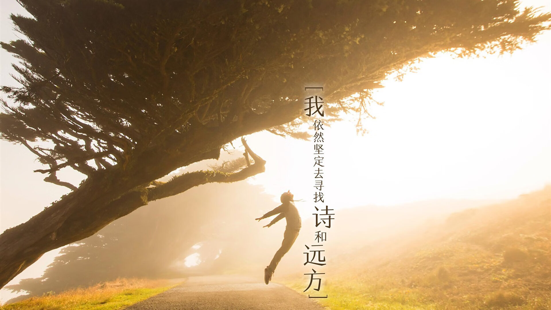 拉文狂飙30分引爆全场,雄鹿团队协作轻取新疆队