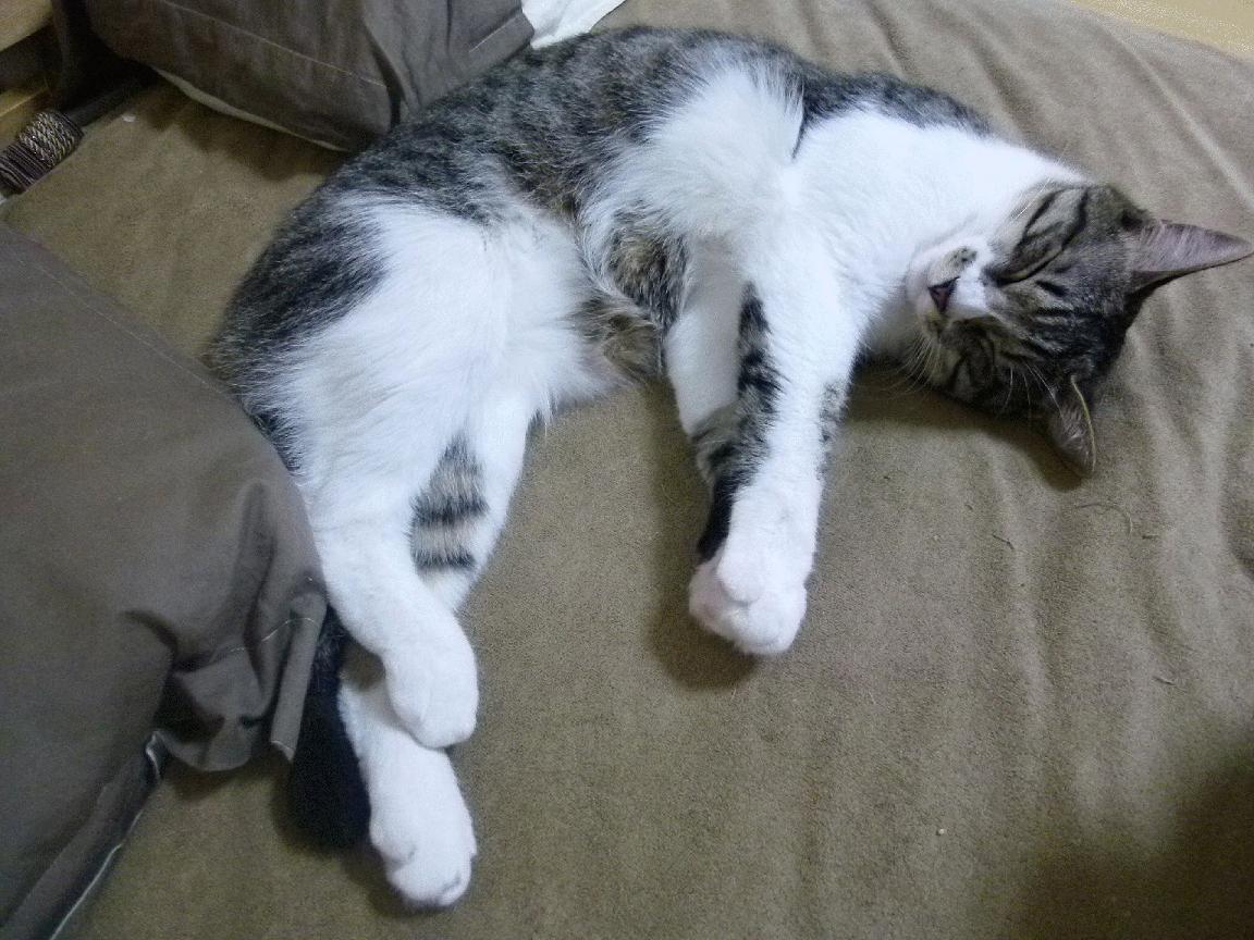 英格拉姆巧手编织胜利,老鹰疾风骤雨横扫灰熊