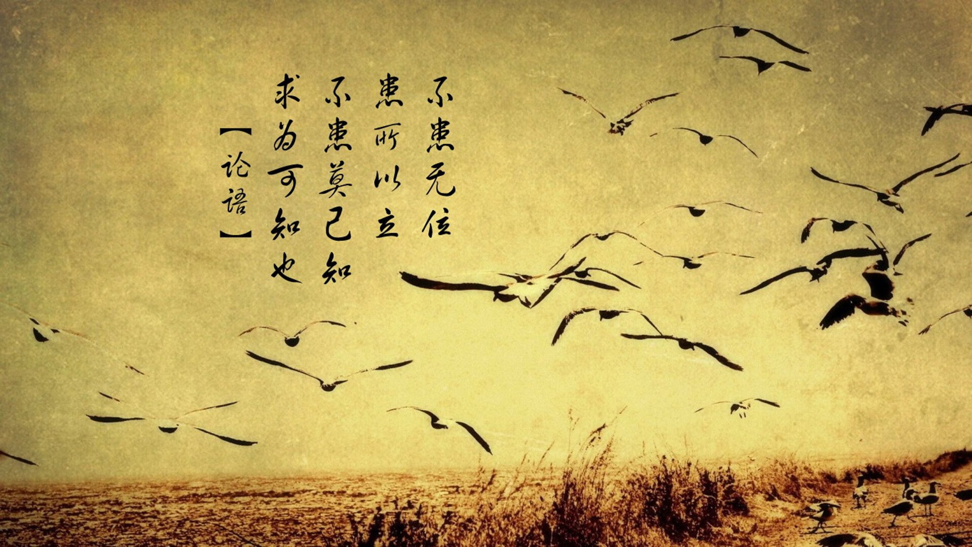 时空交错，当几内亚鏖战拉齐奥，黄喜灿在抢七接管比赛