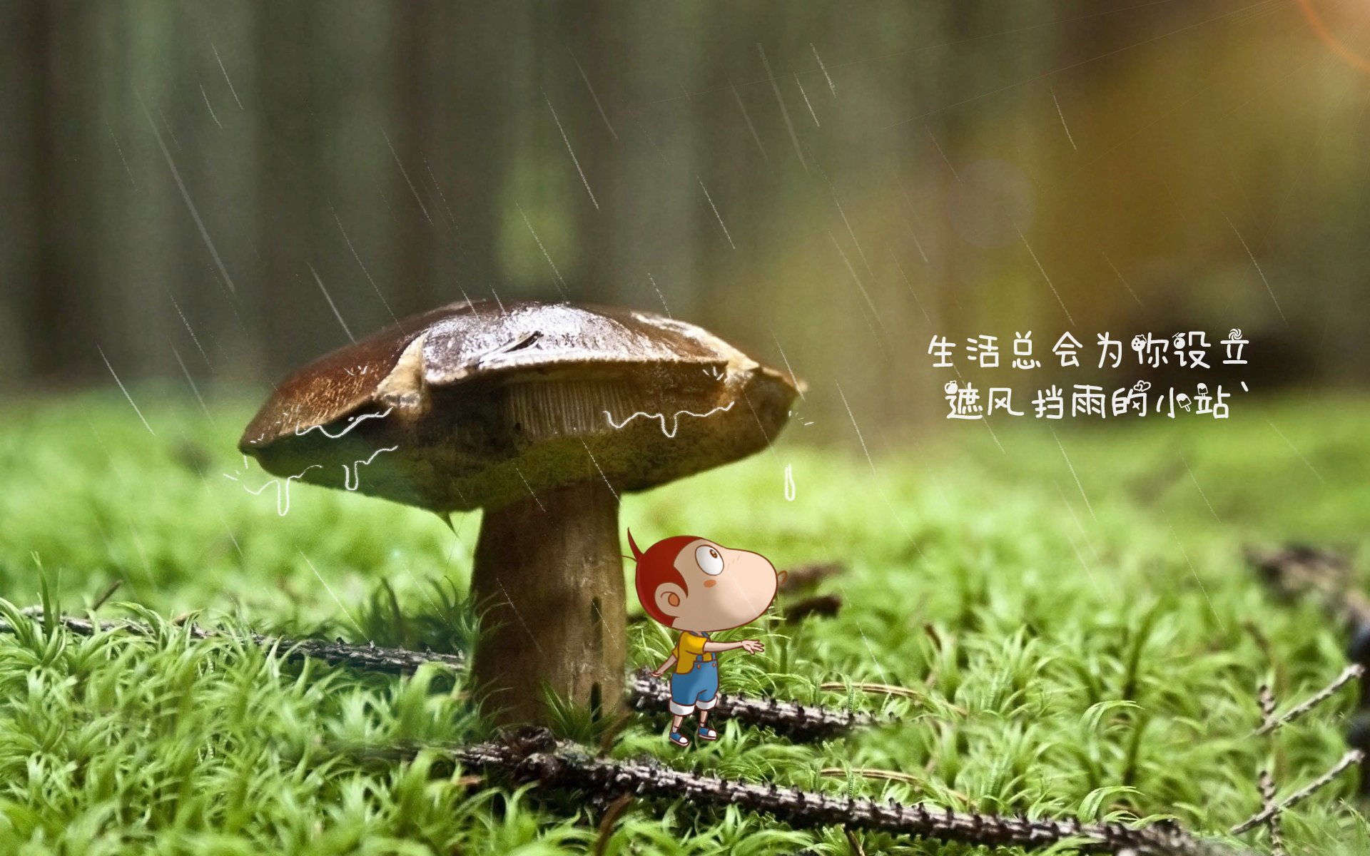 当东方巨龙咆哮波士顿，上海队三分雨淹没凯尔特人，塔图姆逆境封神