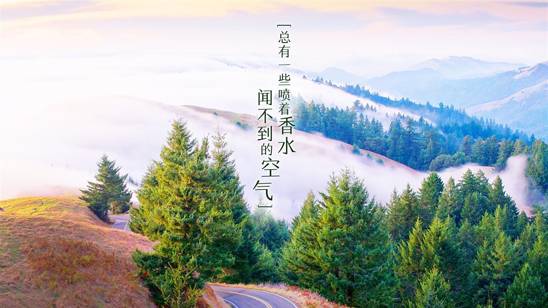 先为你构思一个标题