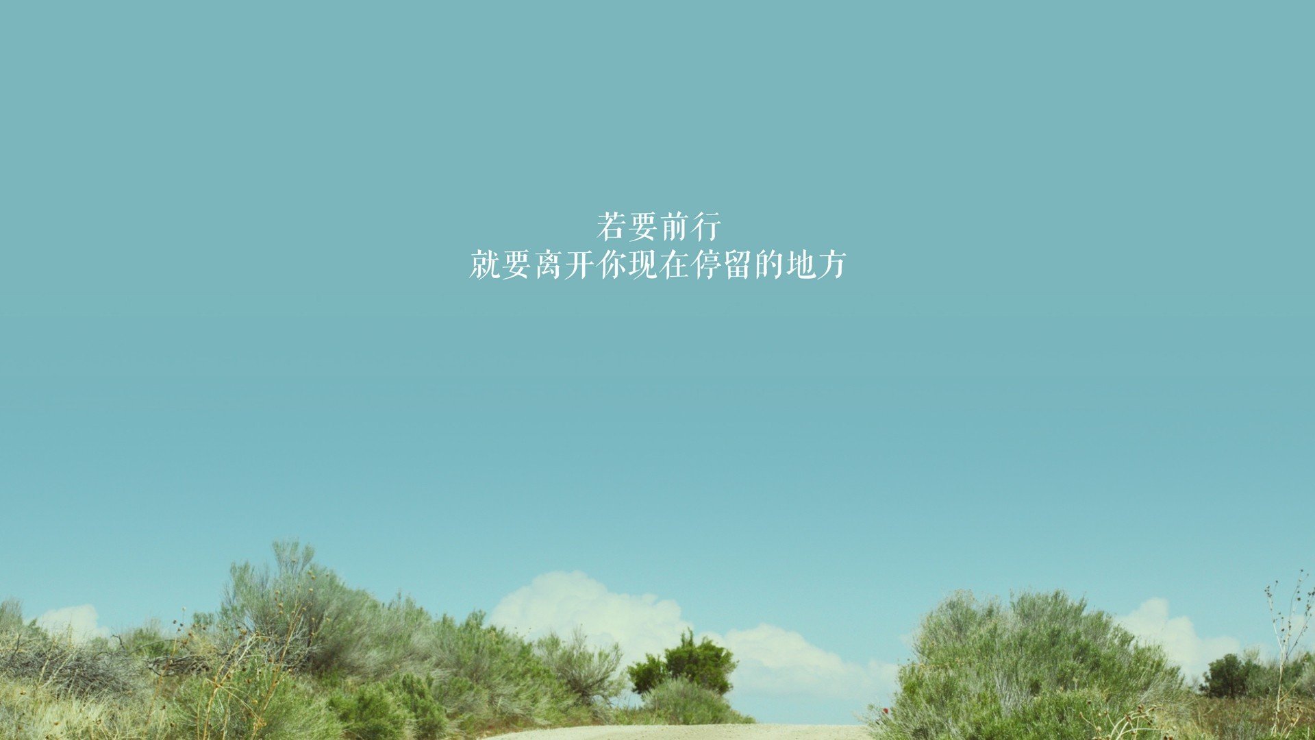（三个备选方案）