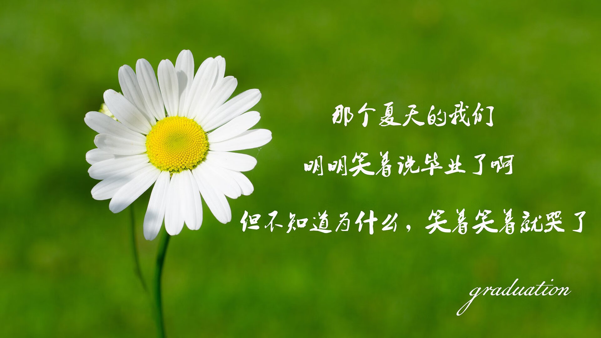 一脚踢翻10亿人的梦,2026世界杯巅峰对决,替补奇兵库尔图瓦完成致命一击