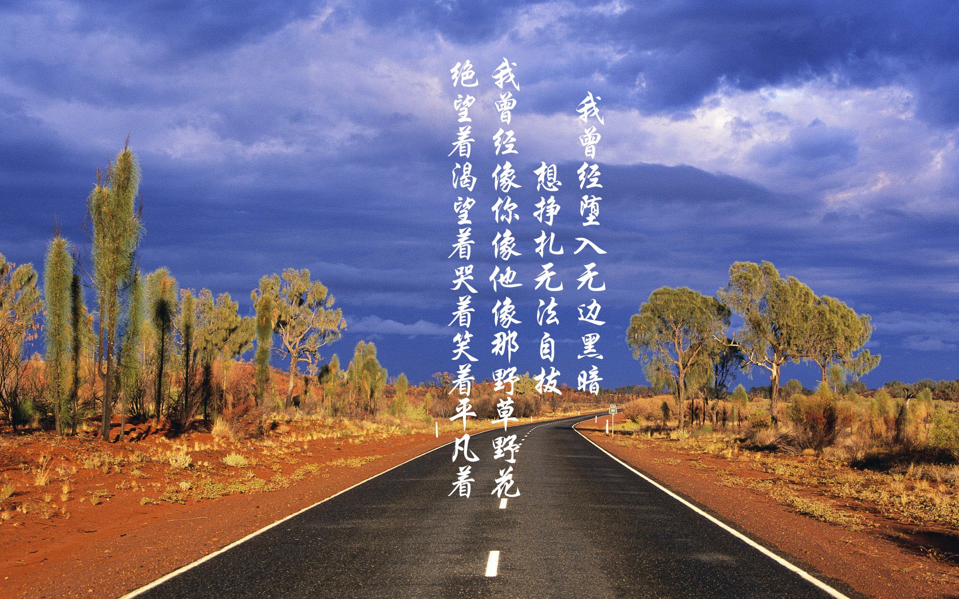血色绿洲,当沙特在达曼的雨夜用意志逆转厄瓜多尔,萨内写下新王登基的预言